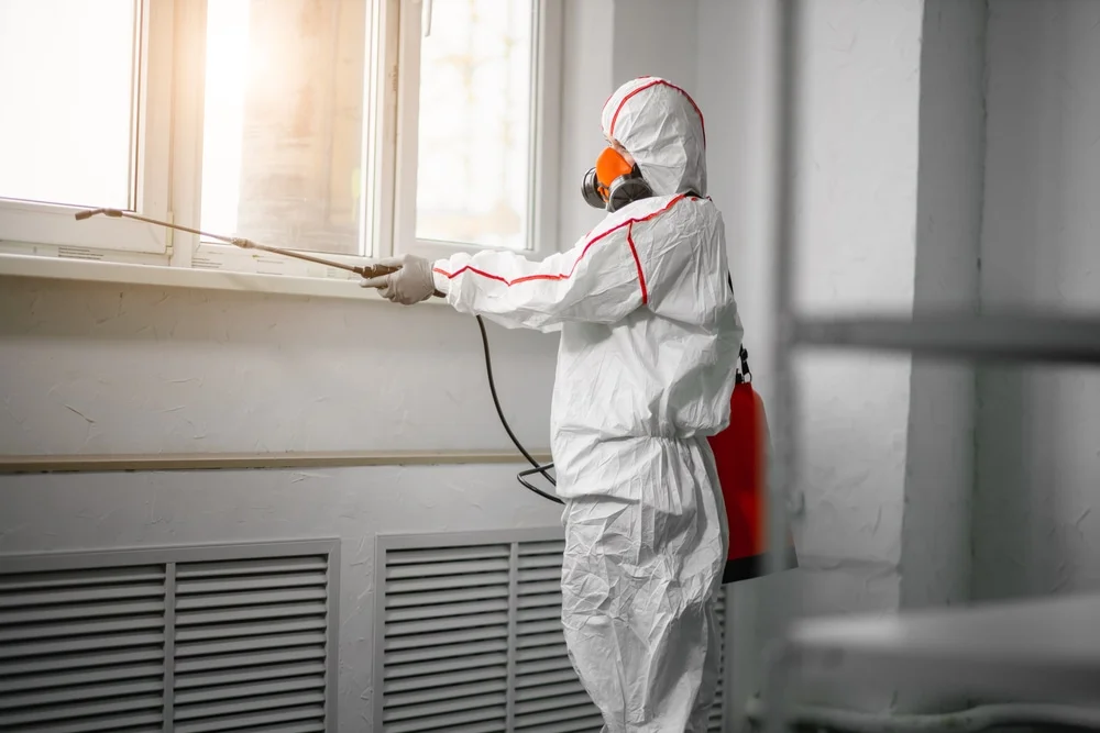 Professional mold remediation services in Plattsburg, MO